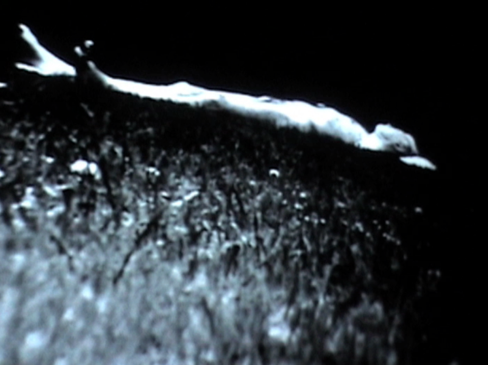 stage 3 video installation stil